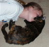 Sally the Tortoiseshell