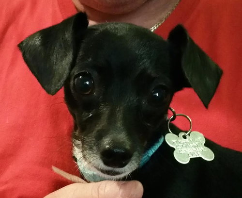 Neo ~ A little Chi