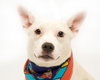 Cloud kna Remy~ A deaf little girl