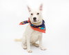 Cloud kna Remy~ A deaf little girl
