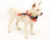 Cloud kna Remy~ A deaf little girl