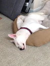 Cloud kna Remy~ A deaf little girl