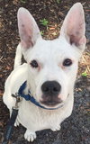 Cloud kna Remy~ A deaf little girl