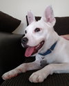 Cloud kna Remy~ A deaf little girl