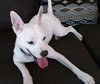 Cloud kna Remy~ A deaf little girl