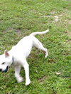 Cloud kna Remy~ A deaf little girl