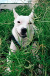 Cloud kna Remy~ A deaf little girl