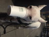 Cloud kna Remy~ A deaf little girl