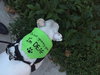 Cloud kna Remy~ A deaf little girl