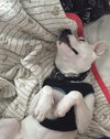 Cloud kna Remy~ A deaf little girl