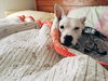 Cloud kna Remy~ A deaf little girl