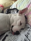 Cloud kna Remy~ A deaf little girl