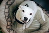 Cloud kna Remy~ A deaf little girl