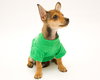 Dingo