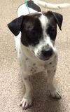 Domino - Check out his video!