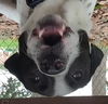 Domino - Check out his video!