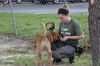 Zeus ~ Camp Doglando Graduate!