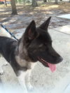Kita