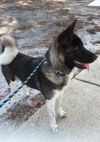 Kita