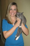 Missy the Gray Kitten