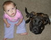 Gwenivere the Puppy