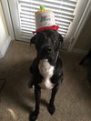 Sully