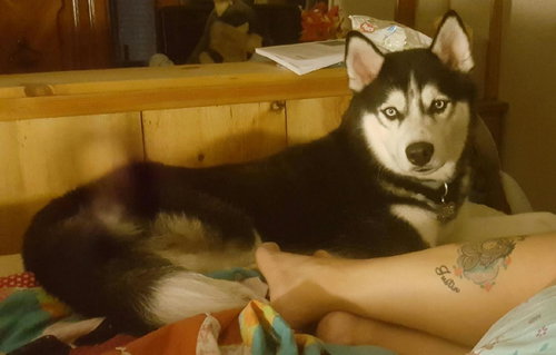 Ares
