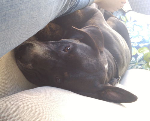 Marlo