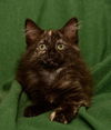 Eleanor