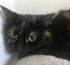 Eleanor
