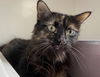 Eleanor