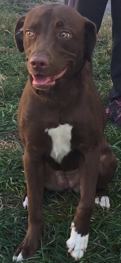 Addie
