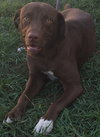 Addie