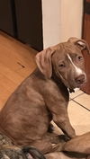 Jax
