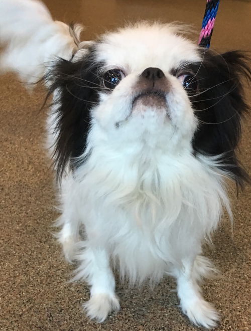 Maggie