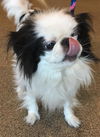 Maggie