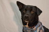 Charger - Read about his awesome day out!