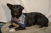 Charger - Read about his awesome day out!