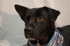 Charger - Read about his awesome day out!