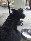 Charger - Read about his awesome day out!