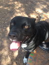 Charger - Read about his awesome day out!