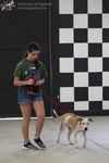 Lynsey ~ Camp Doglando Graduate!