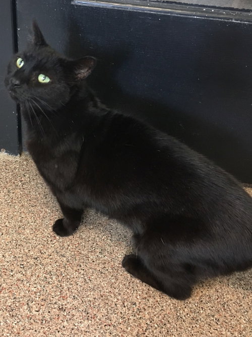 Mitzi 