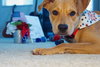 Lily Belle