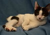 Doo-Little *Our Special Needs Baby*
