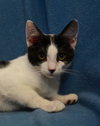 Doo-Little *Our Special Needs Baby*