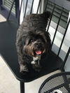 Tucker