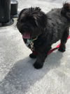 Tucker