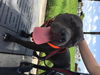 Onyx