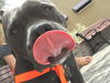 Onyx